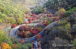 [픽! 단양] '가을빛으로 물든' 보발재 단풍 주말 절정