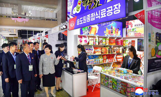 Int'l trade fair opens in N. Korea