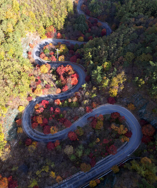 Autumn foliage in S. Korea