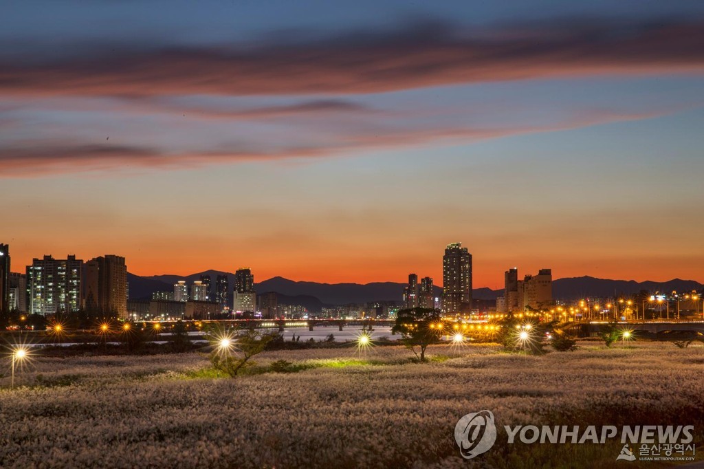 태화강 국가정원 전경 [울산시 제공. 재판매 및 DB 금지]