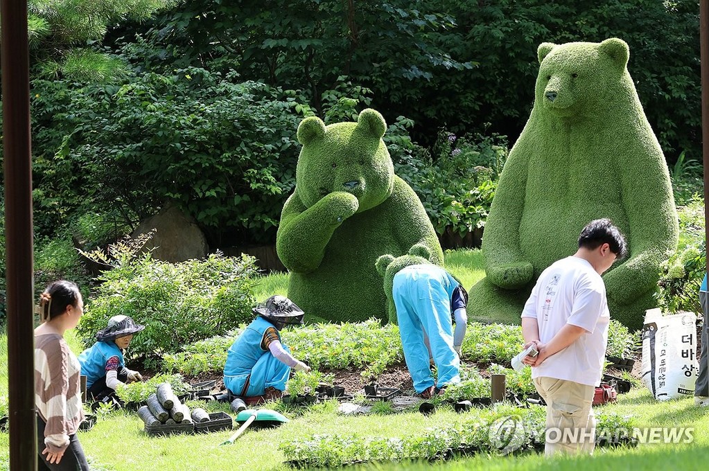 가을꽃 식재로 바쁜 솔향수목원 [연합뉴스 자료사진]