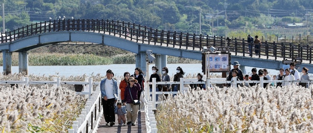 갈대 축제 찾은 방문객 [강진군 제공·재판매 및 DB 금지]