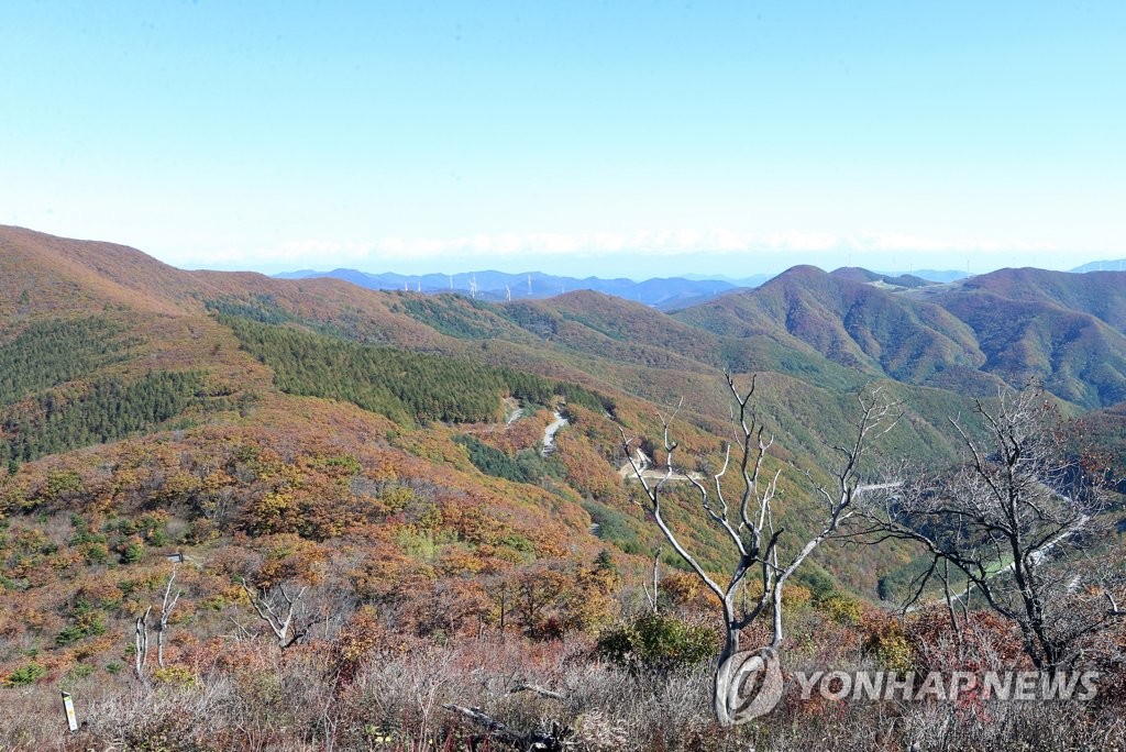함백산 [연합뉴스 자료사진]
