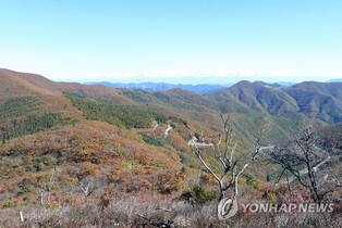 태백시, 천상의숲길서 가을 백패킹 축제…'태백행' 개최