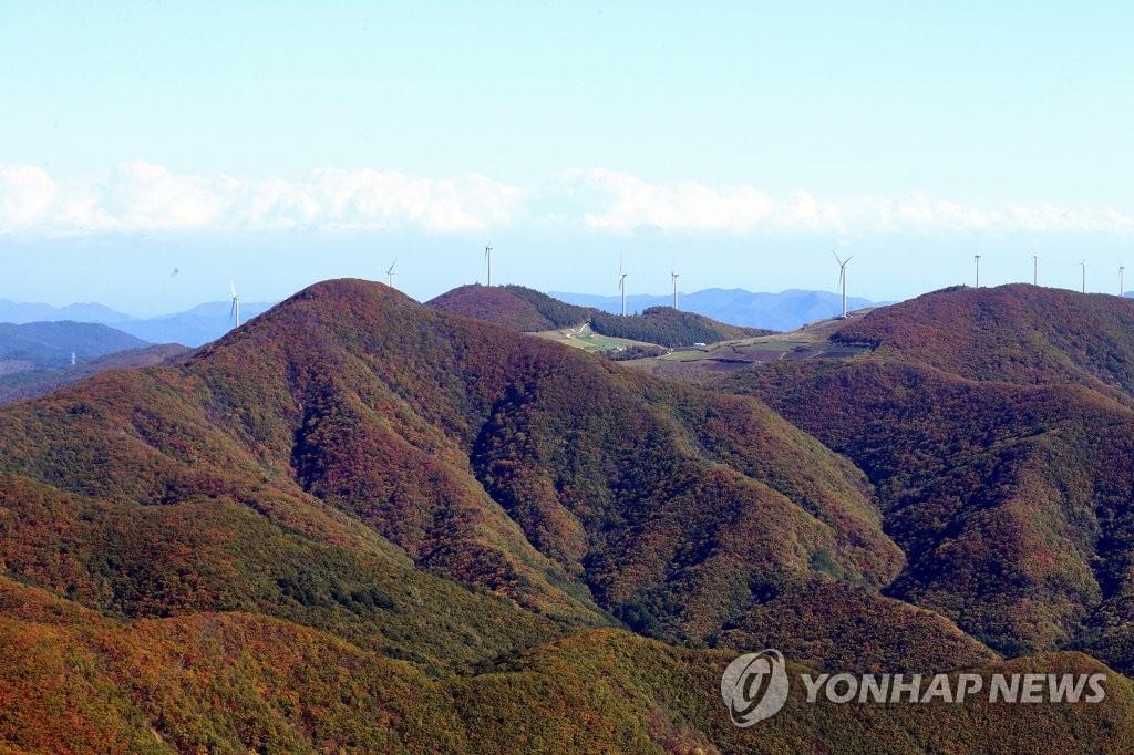 단풍 물든 함백산 [연합뉴스 자료사진]