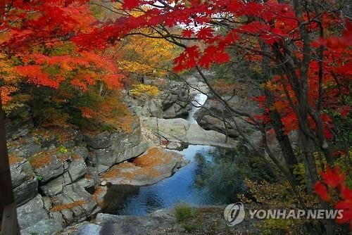 뱀사골 단풍 [연합뉴스 자료사진]