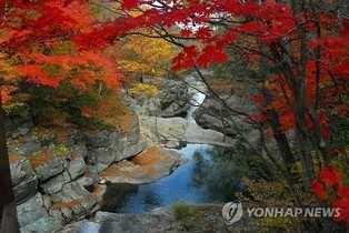 '최고 명승지' 지리산 뱀사골 단풍, 다음 주 절정 이를 듯