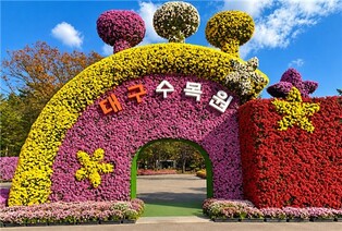 "국화·단풍 보며 가을 정취 즐기세요"…대구수목원 국화전시회