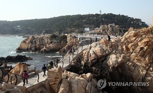 해송숲 걸으며 가을 만끽…울산 동구 '해파랑길 힐링페스타'