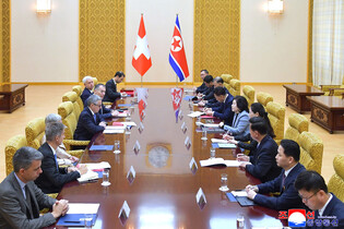FMs of N. Korea, Switzerland hold talks in Pyongyang