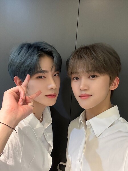 dearmydoho8