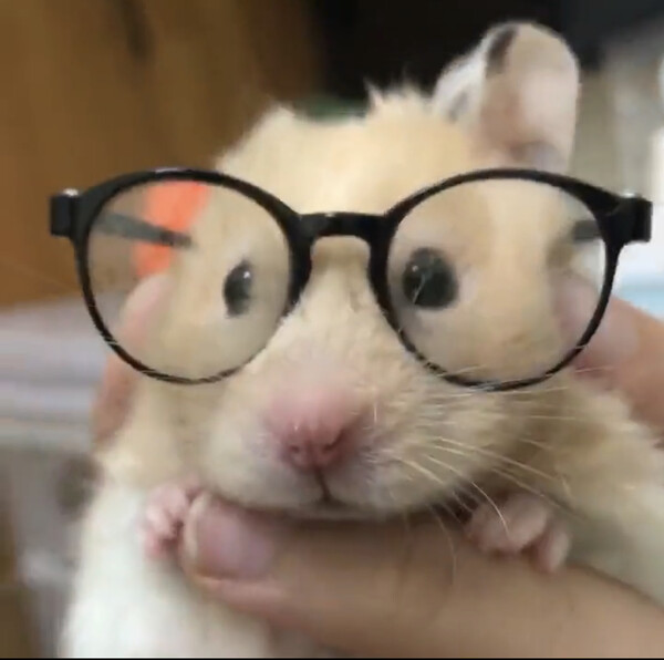 HEE